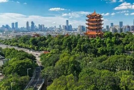 中国伊朗足球目前比分-中伊足球对决，比分背后的深层博弈与未来展望